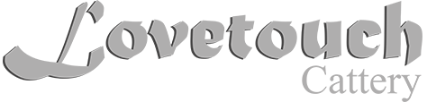 Lovetouch Cattery 