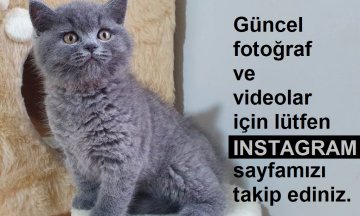 Yeni ailesine kavuştu MŞ64