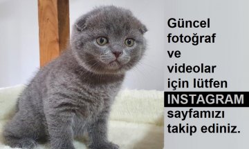 Yeni ailesine kavuştu MŞ75