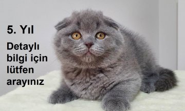 Yeni ailesine kavuştu MM95
