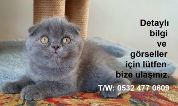 Yeni ailesine kavuştu MM57